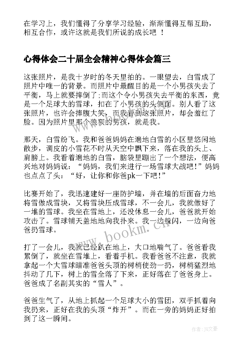 2023年心得体会二十届全会精神心得体会(实用5篇)