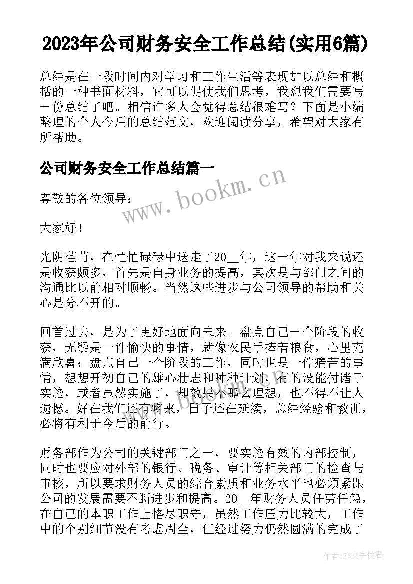 2023年公司财务安全工作总结(实用6篇)