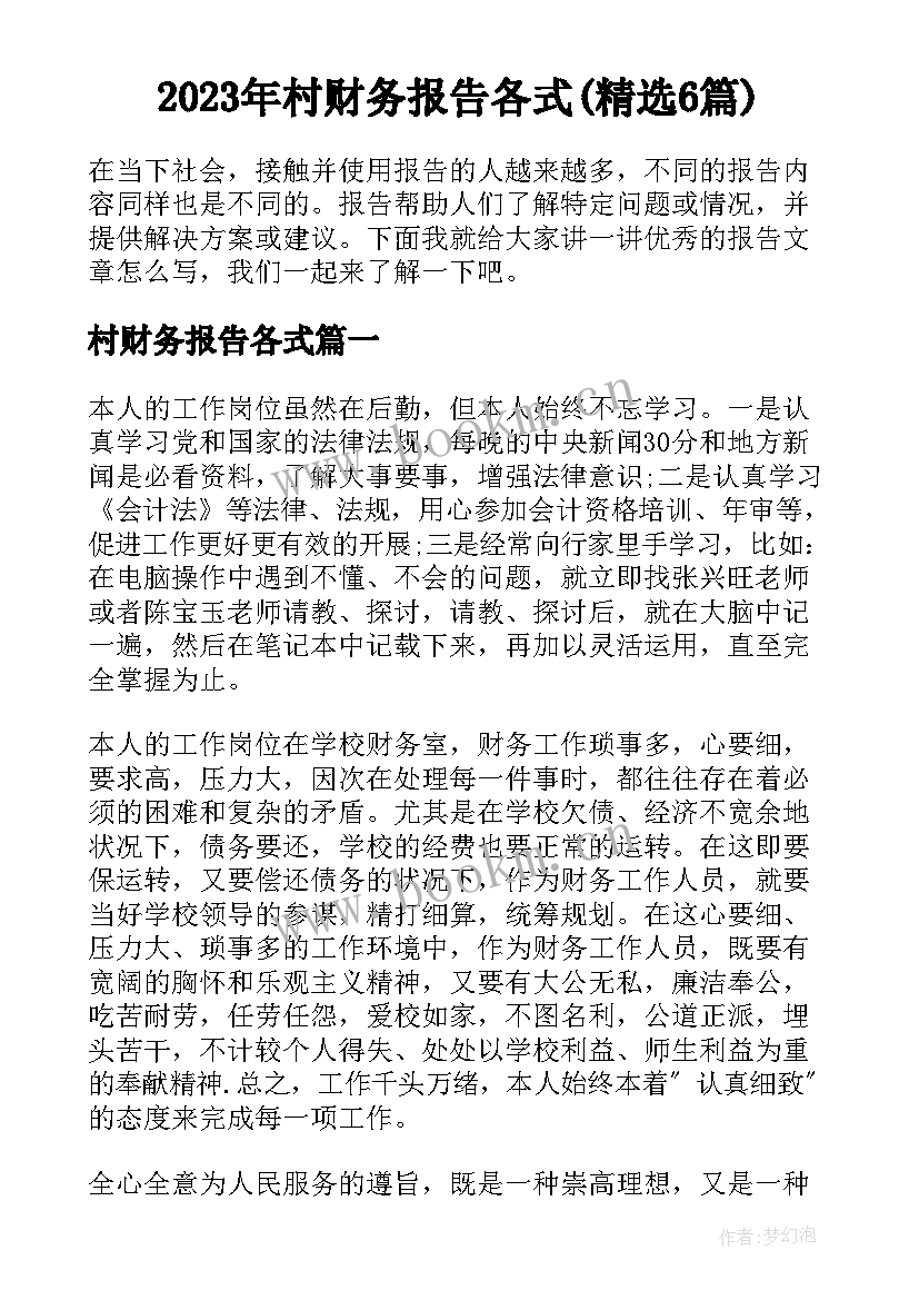 2023年村财务报告各式(精选6篇)