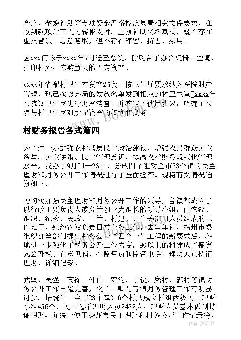 2023年村财务报告各式(精选6篇)