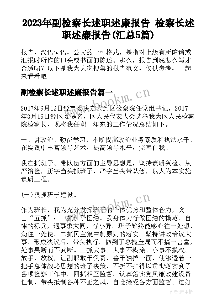 2023年副检察长述职述廉报告 检察长述职述廉报告(汇总5篇)