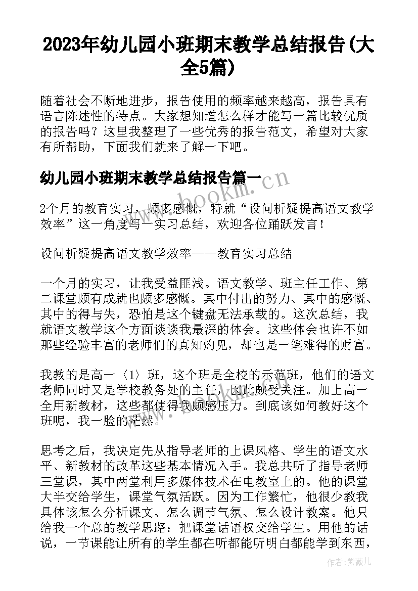 2023年幼儿园小班期末教学总结报告(大全5篇)