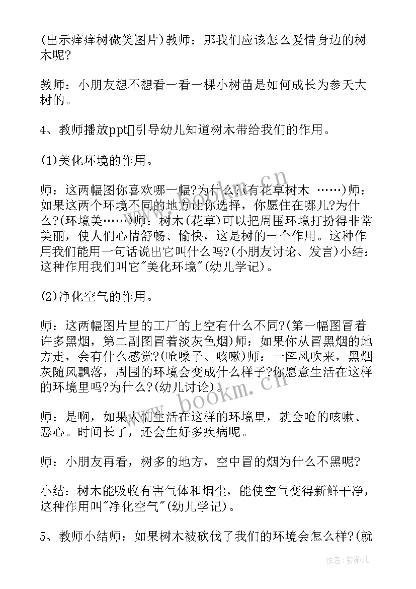 最新大班教案西游记教学反思 树大班教案及教学反思(优秀8篇)