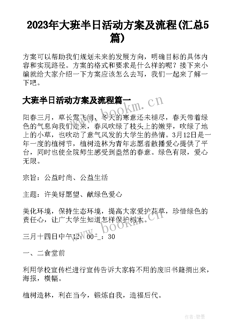 2023年大班半日活动方案及流程(汇总5篇)