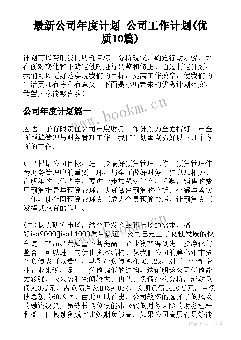 最新公司年度计划 公司工作计划(优质10篇)