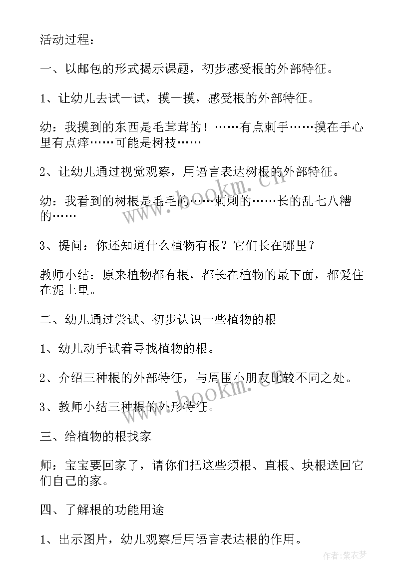 最新有趣的中国字大班教案反思 幼儿园大班科学活动教案有趣的影子含反思(优质5篇)