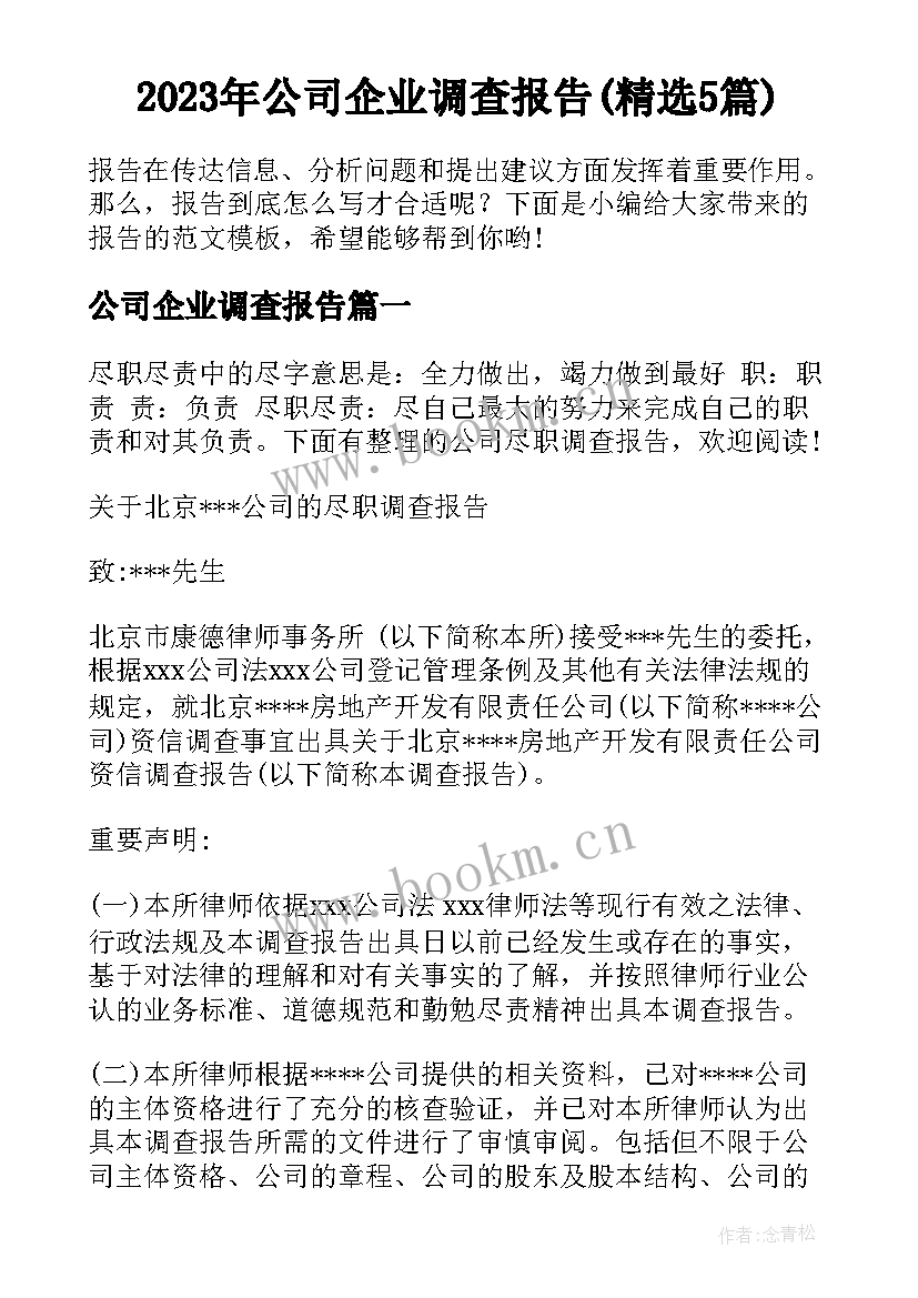 2023年公司企业调查报告(精选5篇)