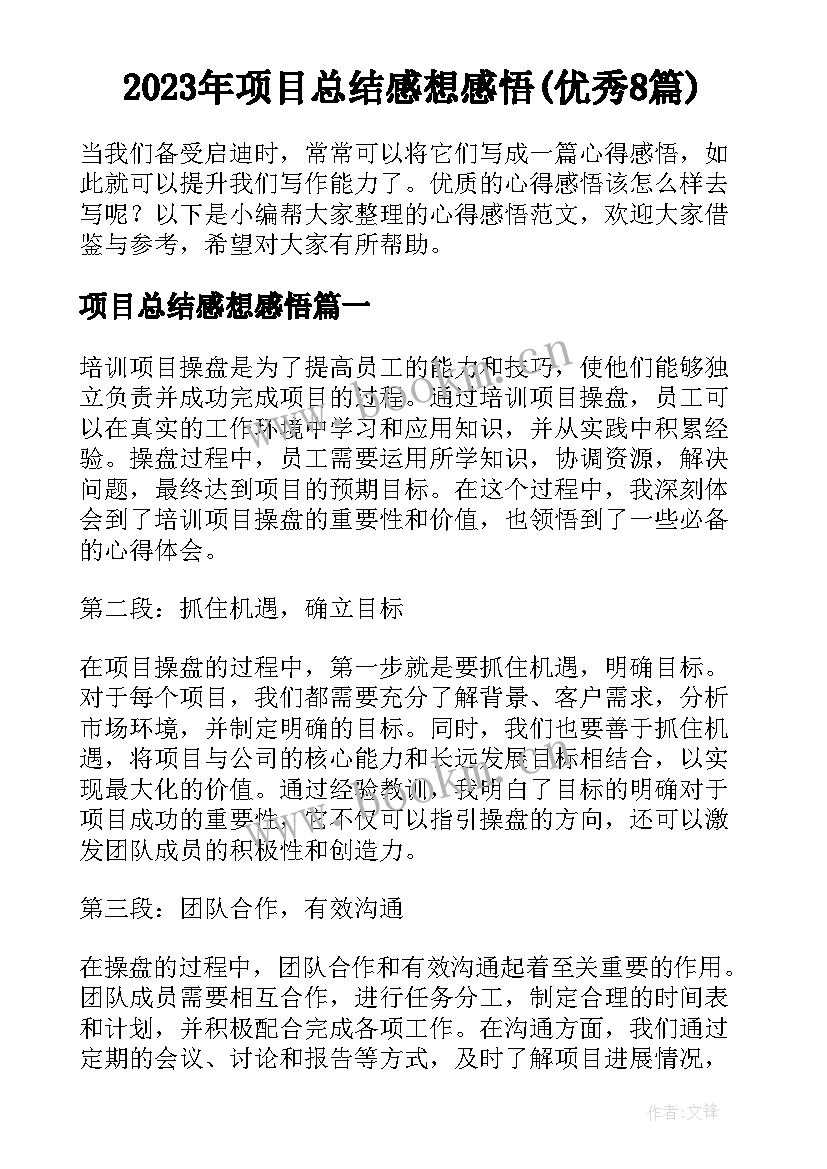 2023年项目总结感想感悟(优秀8篇)