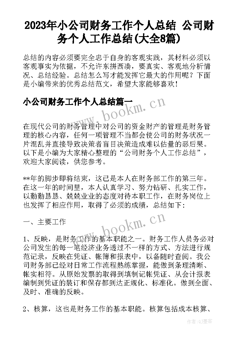 2023年小公司财务工作个人总结 公司财务个人工作总结(大全8篇)