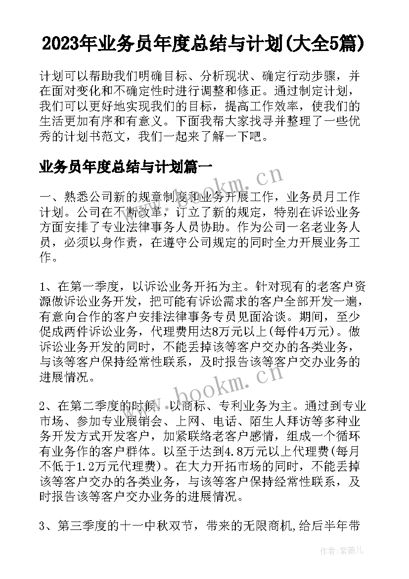 2023年业务员年度总结与计划(大全5篇)