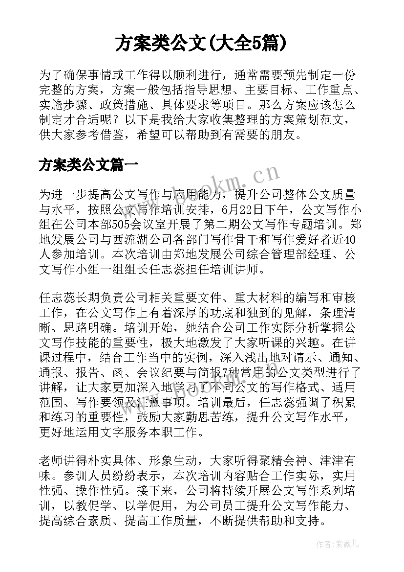 方案类公文(大全5篇)