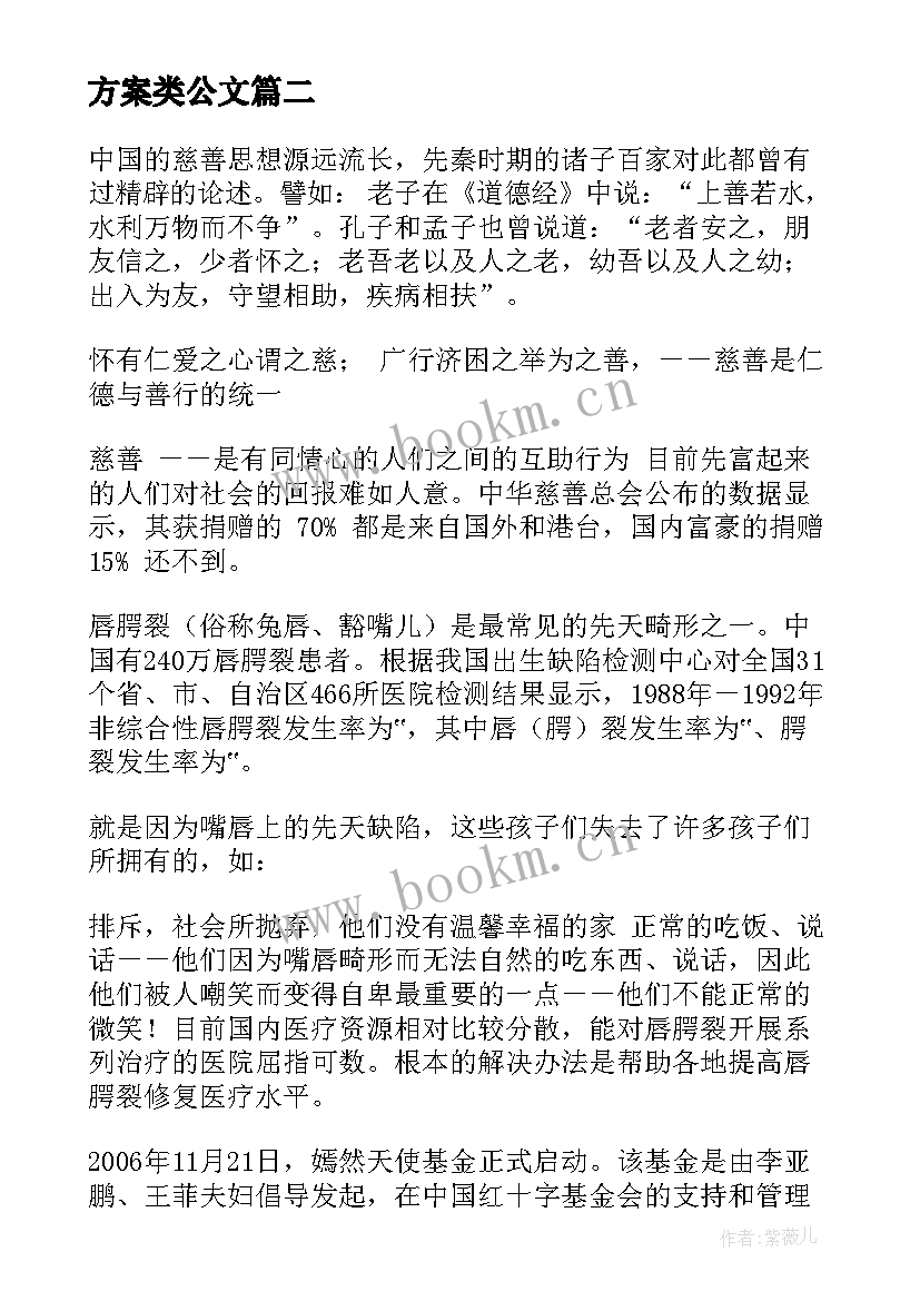 方案类公文(大全5篇)