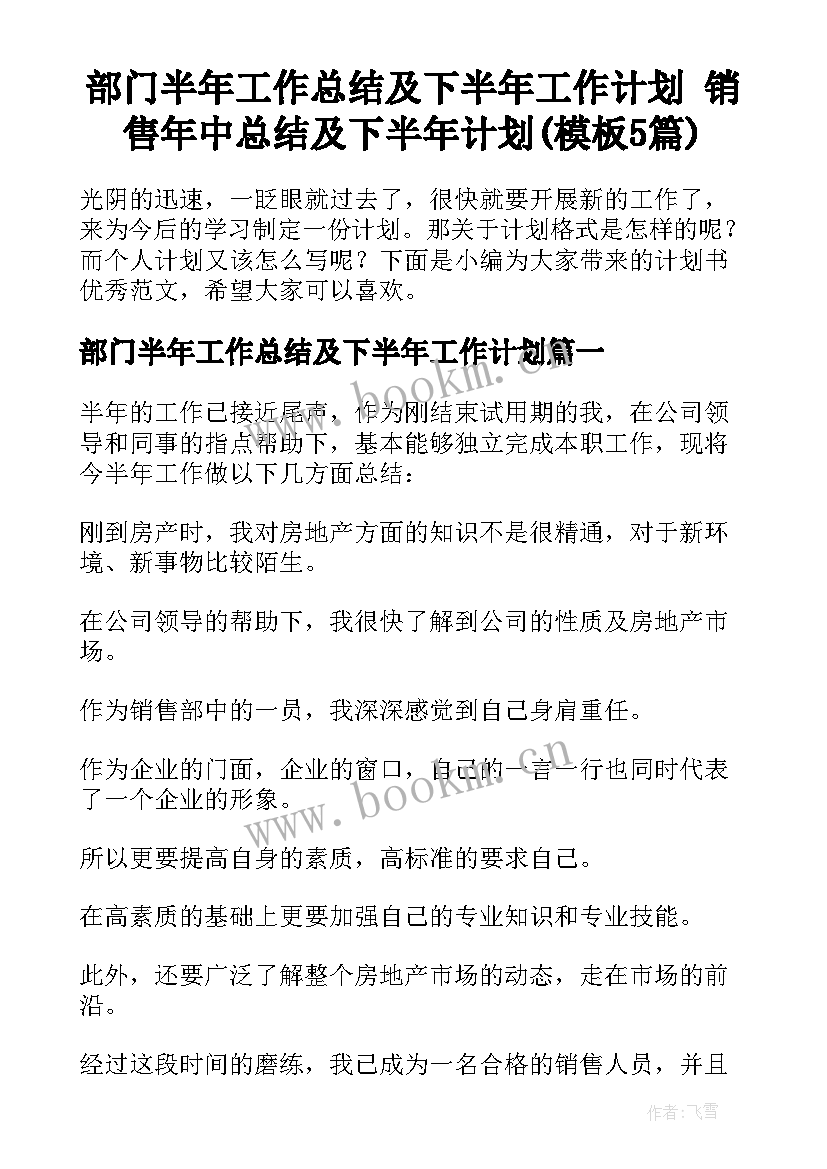 部门半年工作总结及下半年工作计划 销售年中总结及下半年计划(模板5篇)