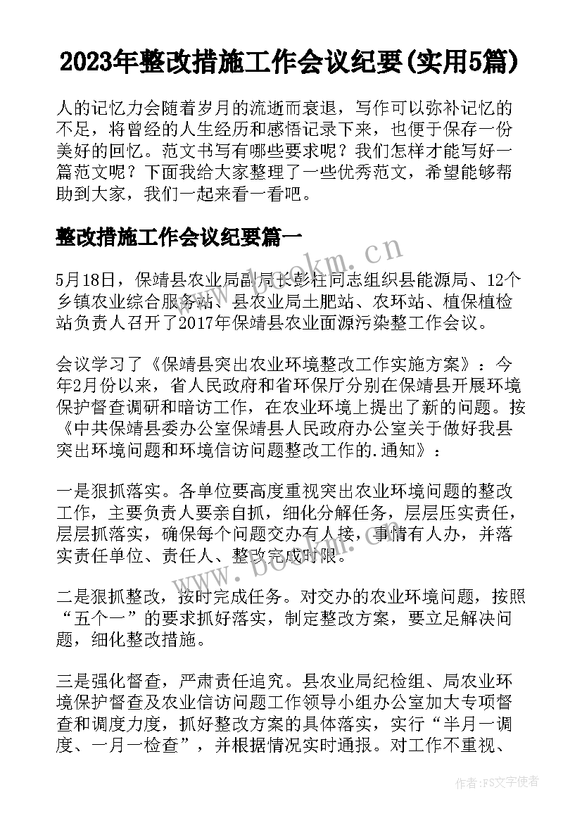 2023年整改措施工作会议纪要(实用5篇)