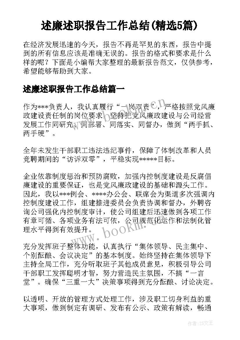 述廉述职报告工作总结(精选5篇)