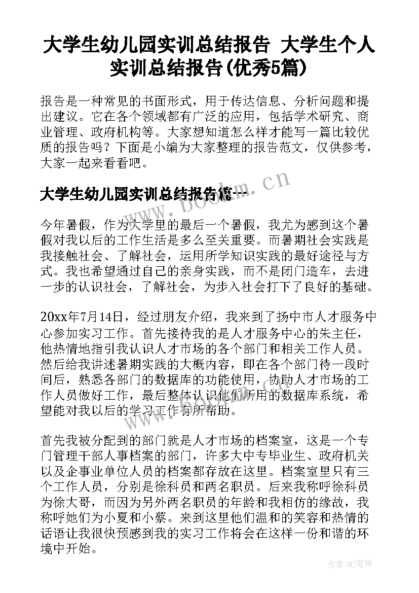 大学生幼儿园实训总结报告 大学生个人实训总结报告(优秀5篇)