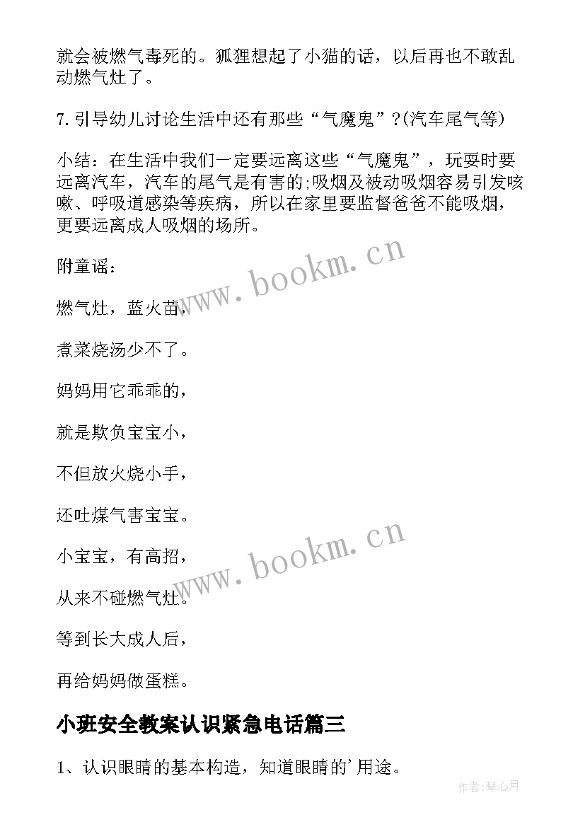 2023年小班安全教案认识紧急电话(模板9篇)