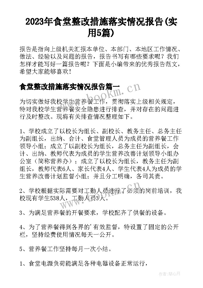 2023年食堂整改措施落实情况报告(实用5篇)