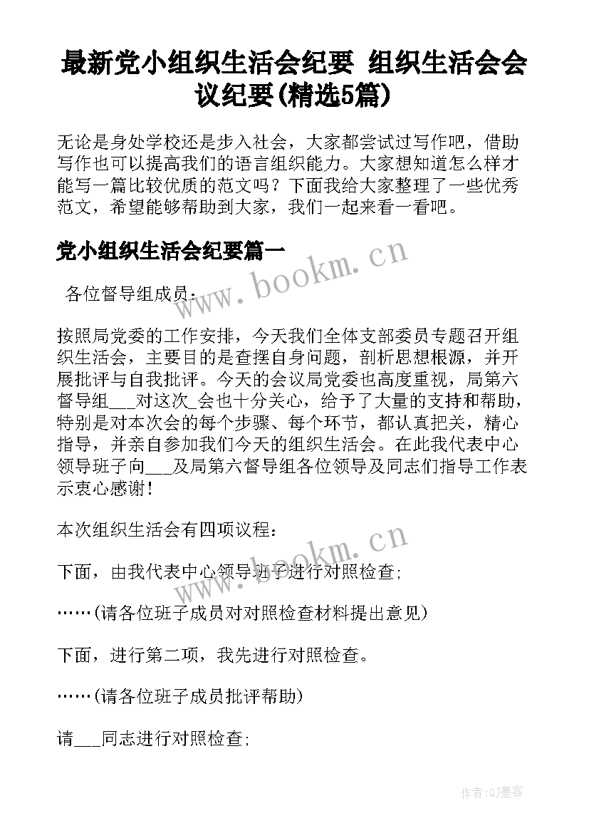 最新党小组织生活会纪要 组织生活会会议纪要(精选5篇)