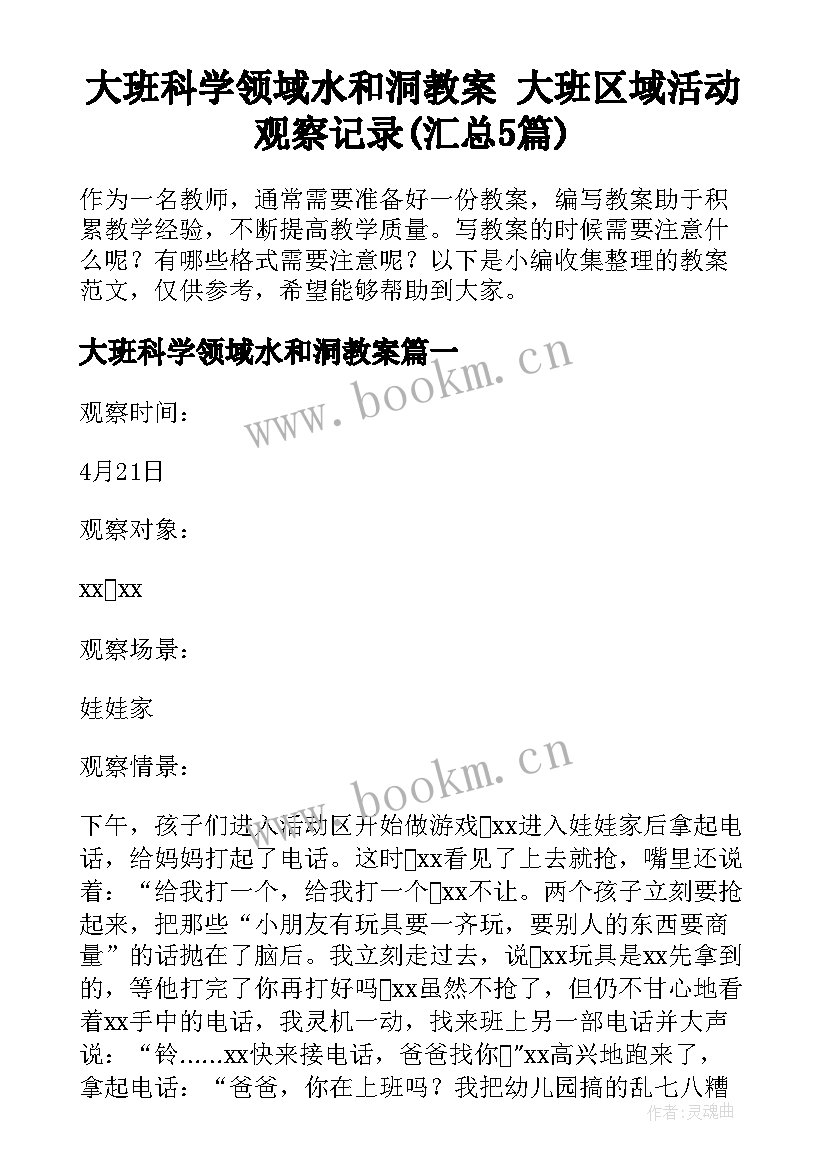 大班科学领域水和洞教案 大班区域活动观察记录(汇总5篇)