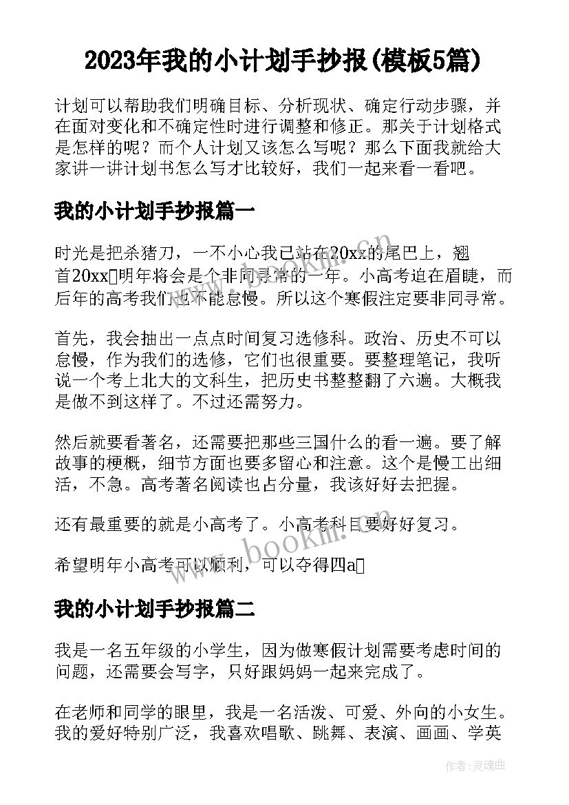 2023年我的小计划手抄报(模板5篇)