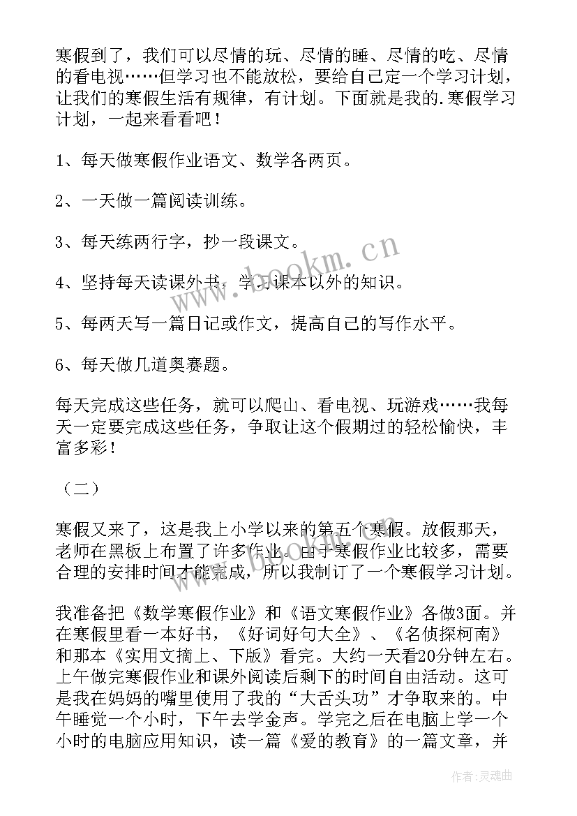 2023年我的小计划手抄报(模板5篇)