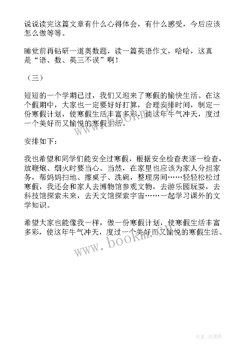 2023年我的小计划手抄报(模板5篇)