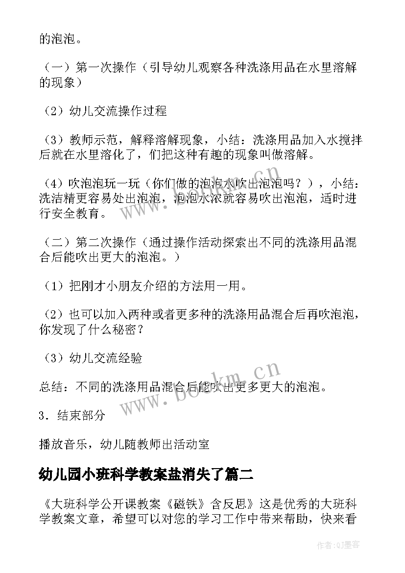 2023年幼儿园小班科学教案盐消失了(模板5篇)