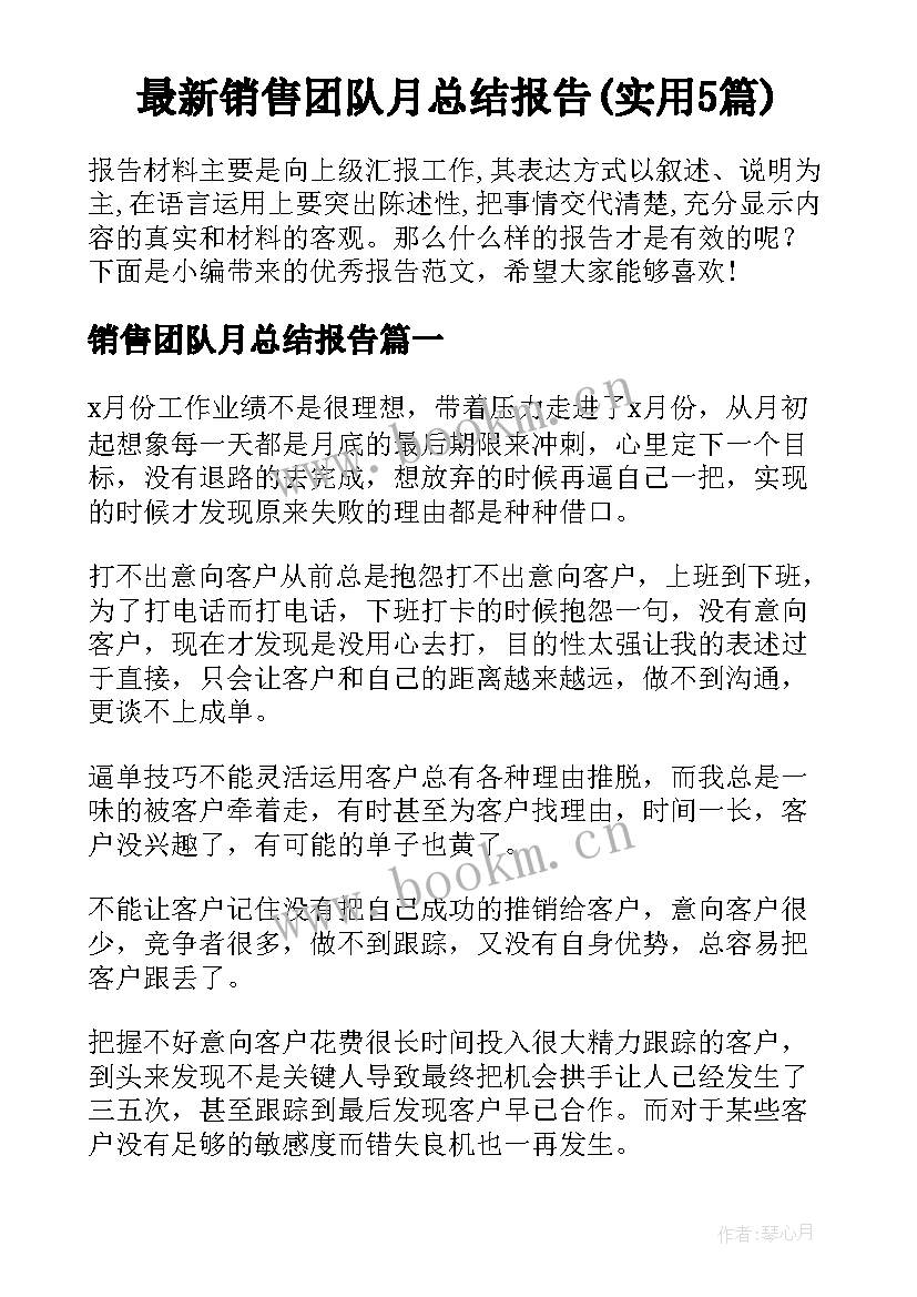 最新销售团队月总结报告(实用5篇)