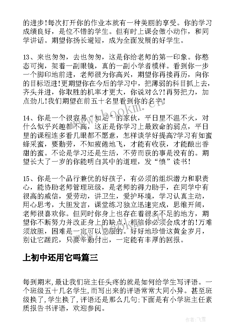 2023年上初中还用它吗 小学班主任素质报告书评语(优质5篇)