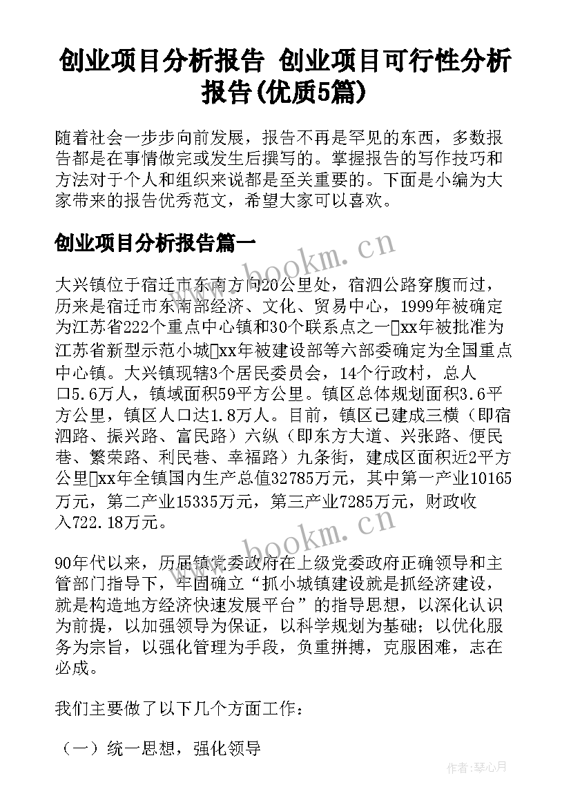 创业项目分析报告 创业项目可行性分析报告(优质5篇)