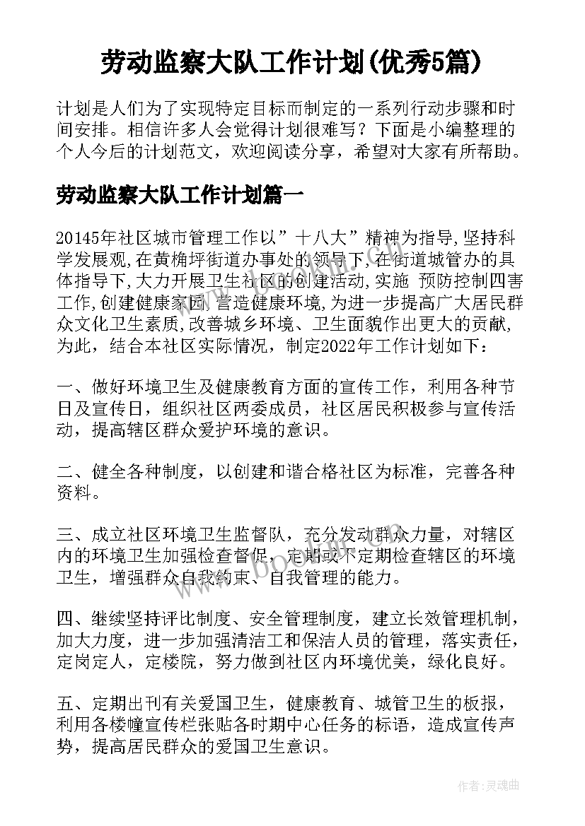 劳动监察大队工作计划(优秀5篇)