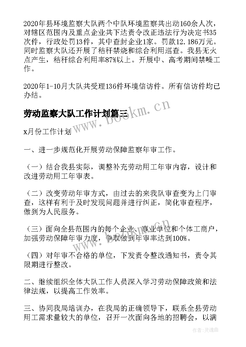 劳动监察大队工作计划(优秀5篇)