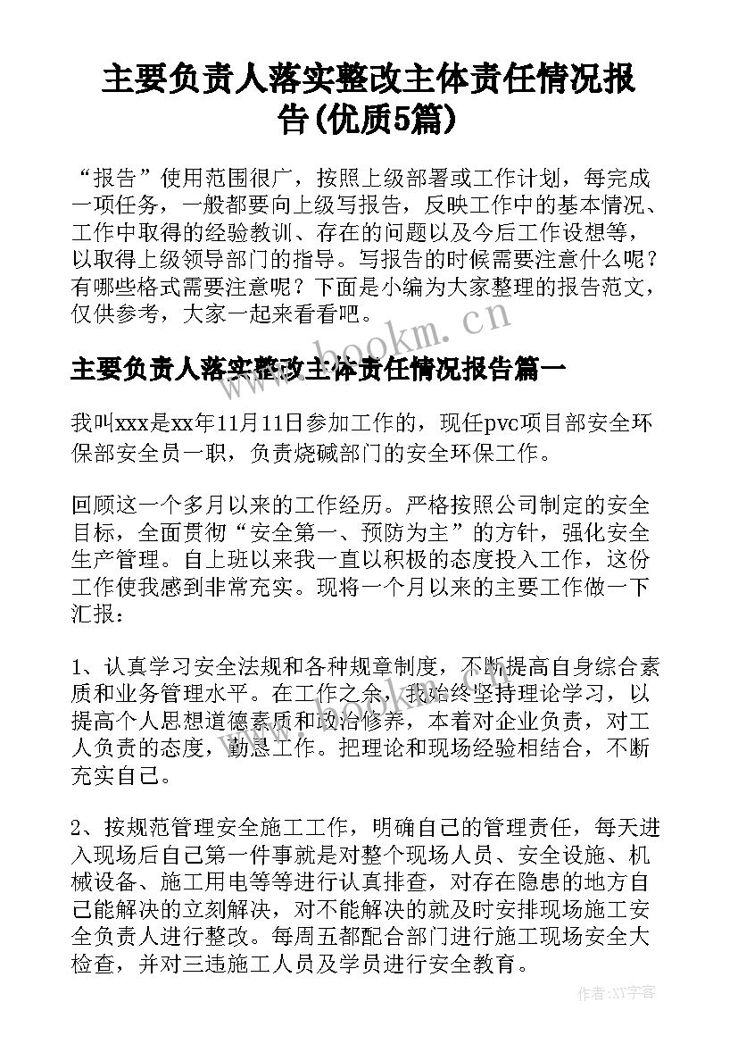 主要负责人落实整改主体责任情况报告(优质5篇)