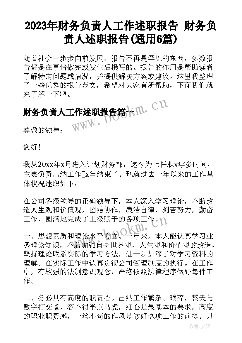 2023年财务负责人工作述职报告 财务负责人述职报告(通用6篇)