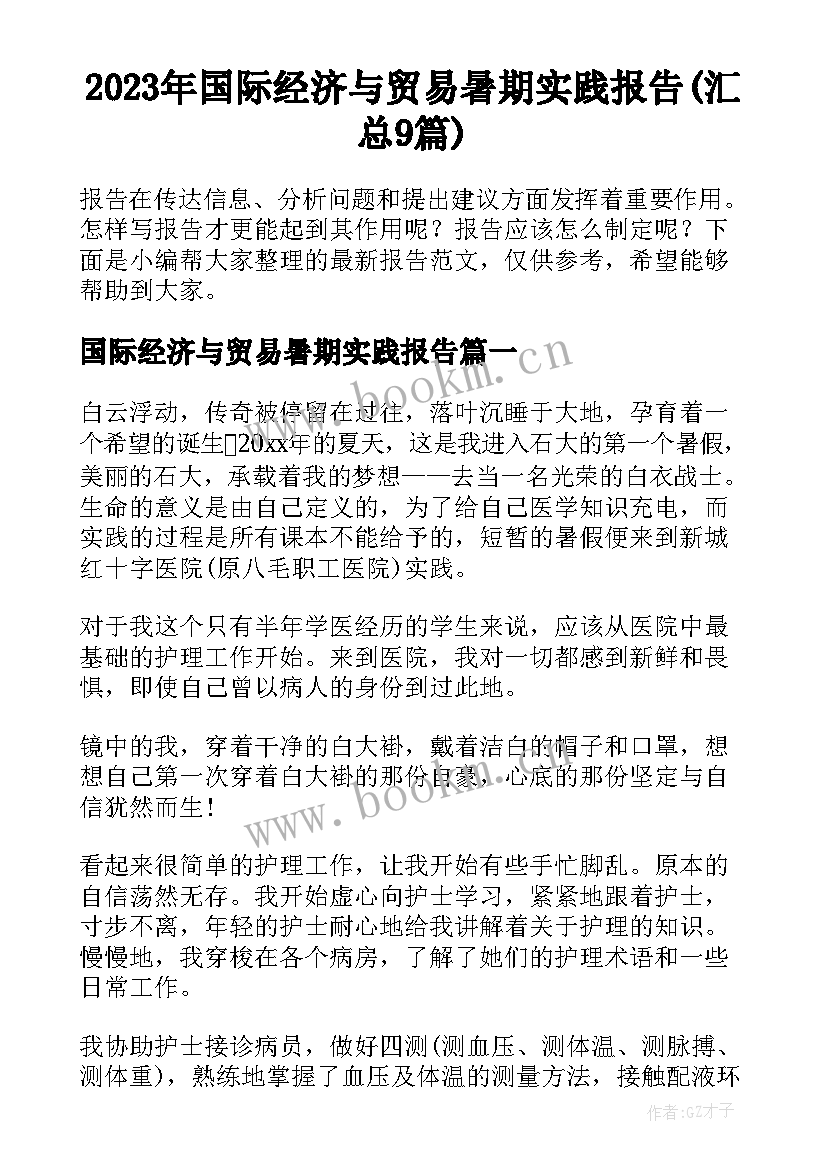 2023年国际经济与贸易暑期实践报告(汇总9篇)