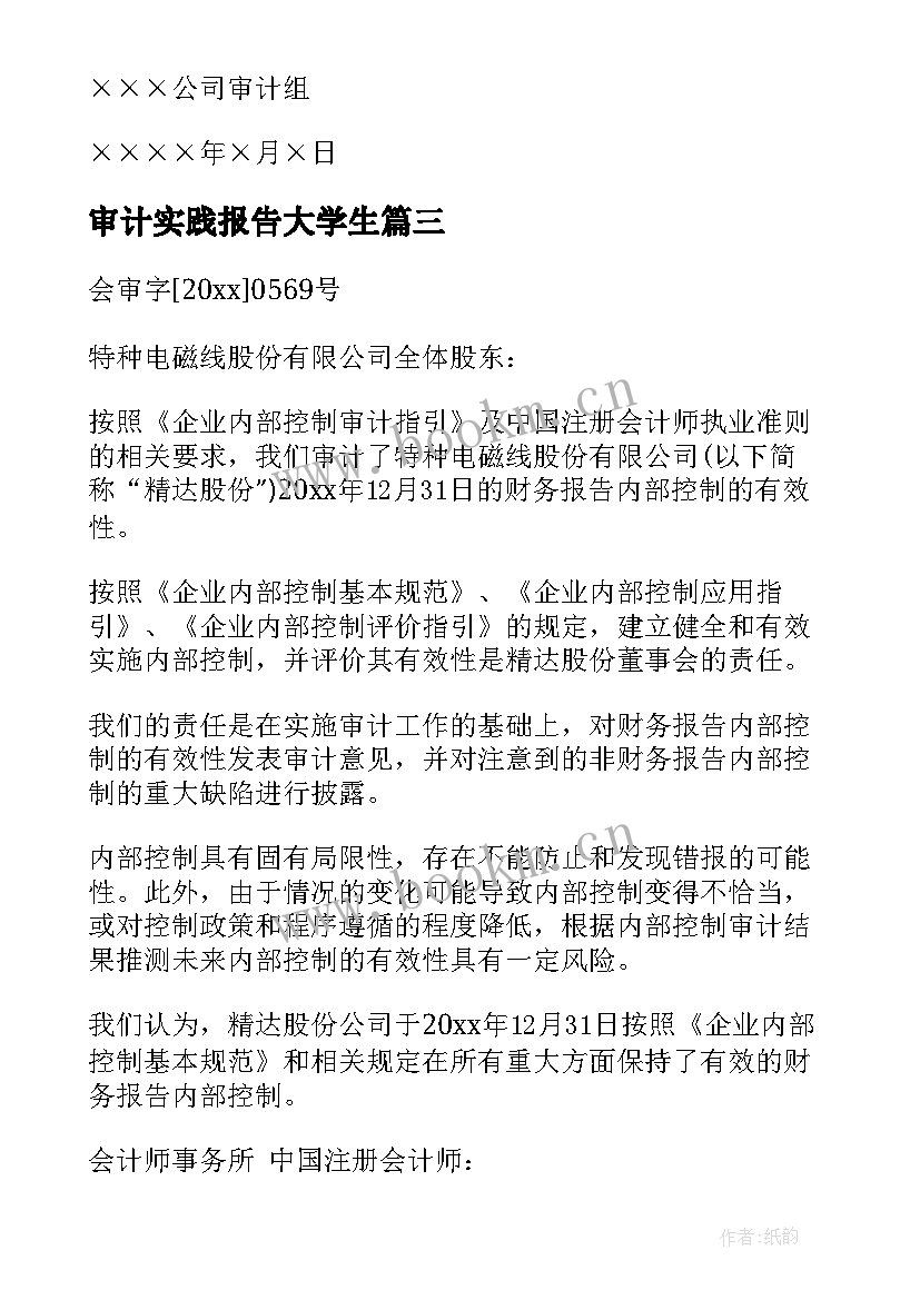 审计实践报告大学生(实用9篇)