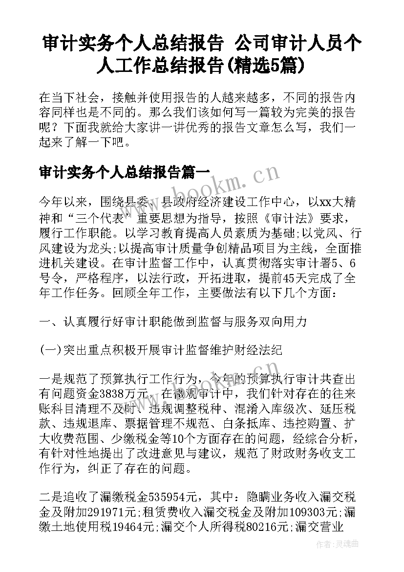 审计实务个人总结报告 公司审计人员个人工作总结报告(精选5篇)