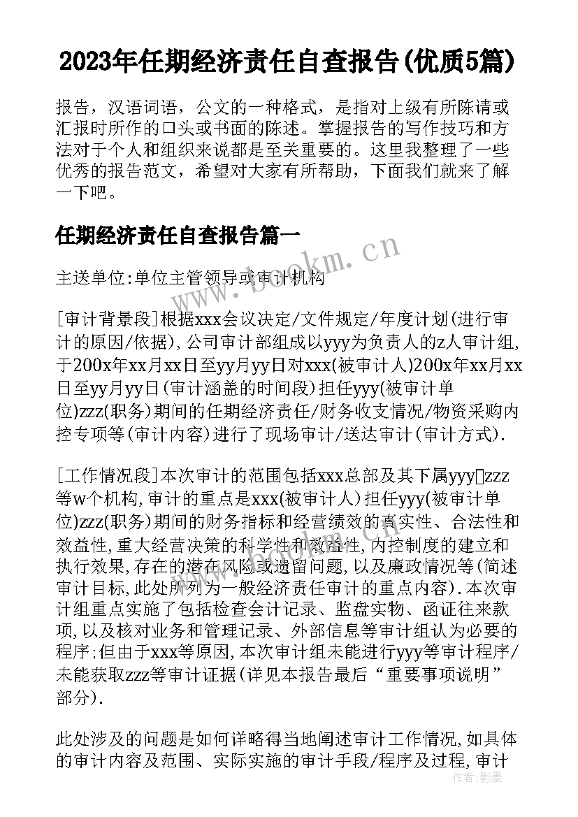 2023年任期经济责任自查报告(优质5篇)