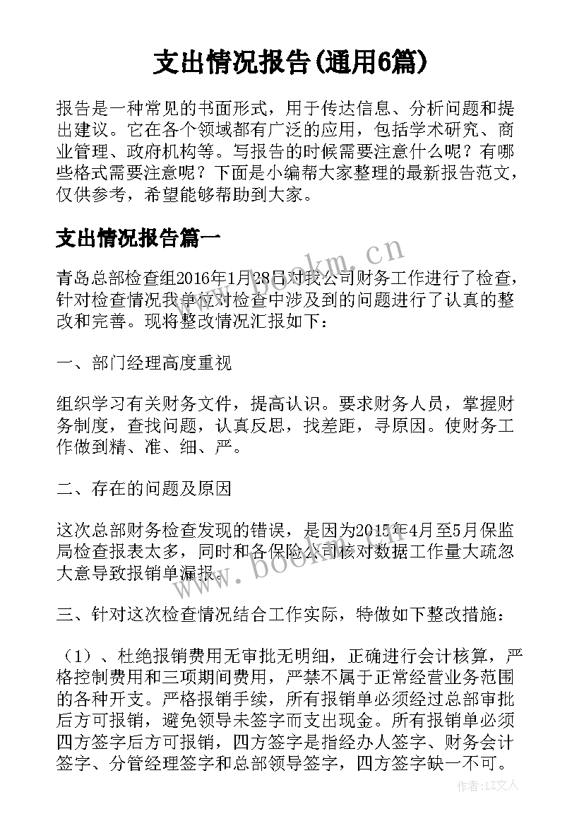 支出情况报告(通用6篇)