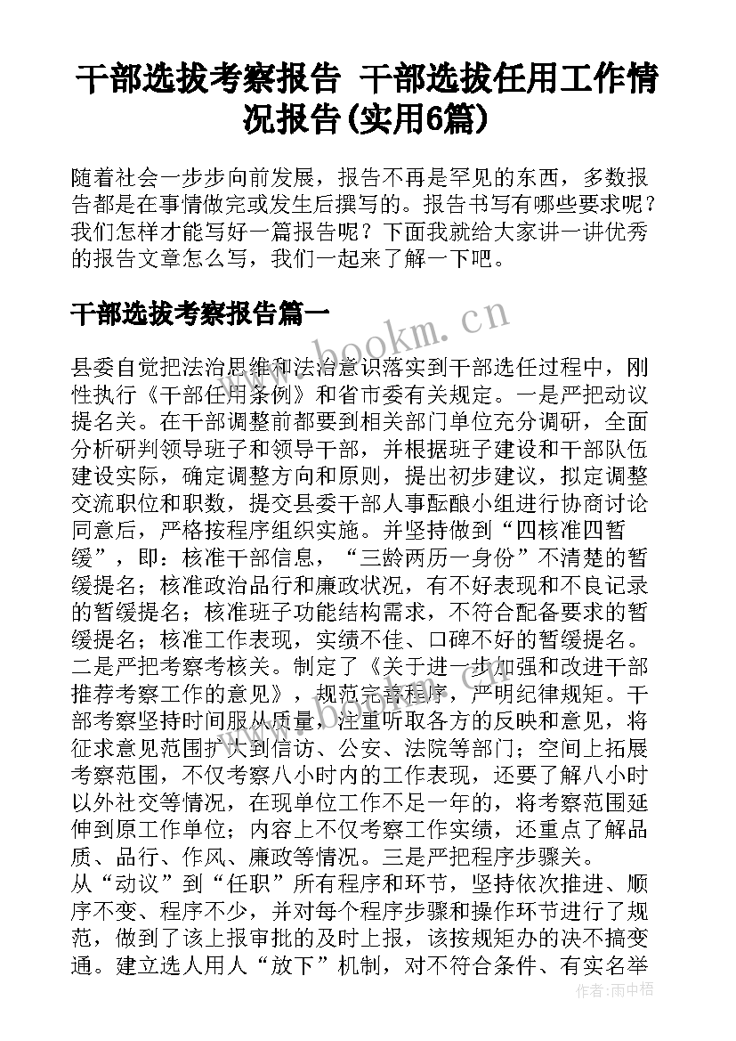 干部选拔考察报告 干部选拔任用工作情况报告(实用6篇)