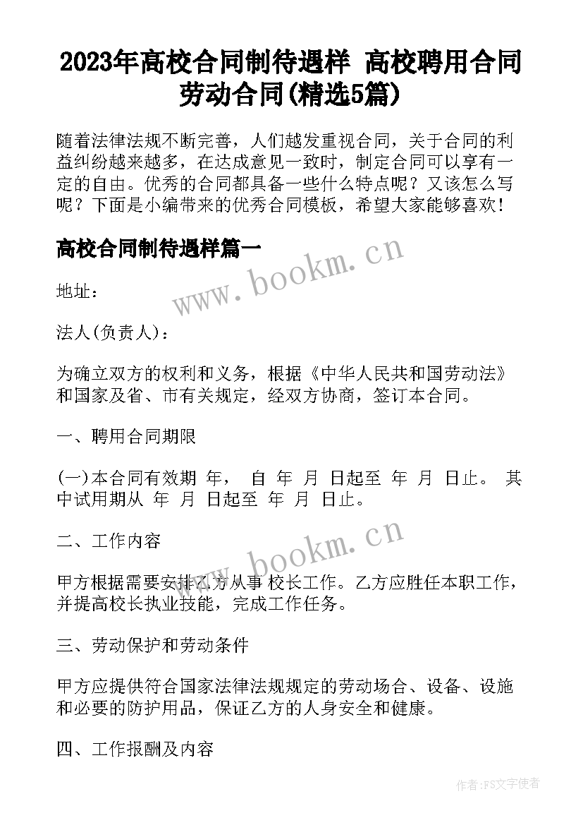 2023年高校合同制待遇样 高校聘用合同劳动合同(精选5篇)