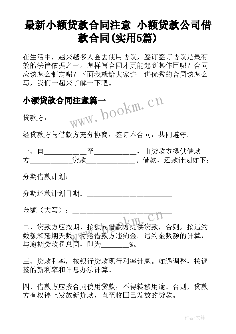 最新小额贷款合同注意 小额贷款公司借款合同(实用5篇)