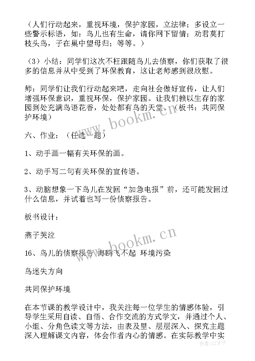 鸟儿的调查报告(优秀6篇)