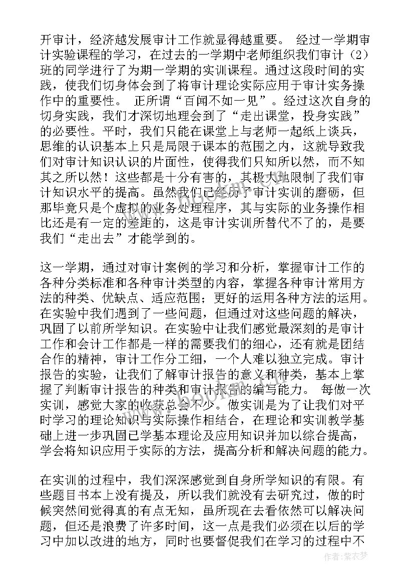 最新审计实训报告实训总结 审计实训报告(汇总10篇)