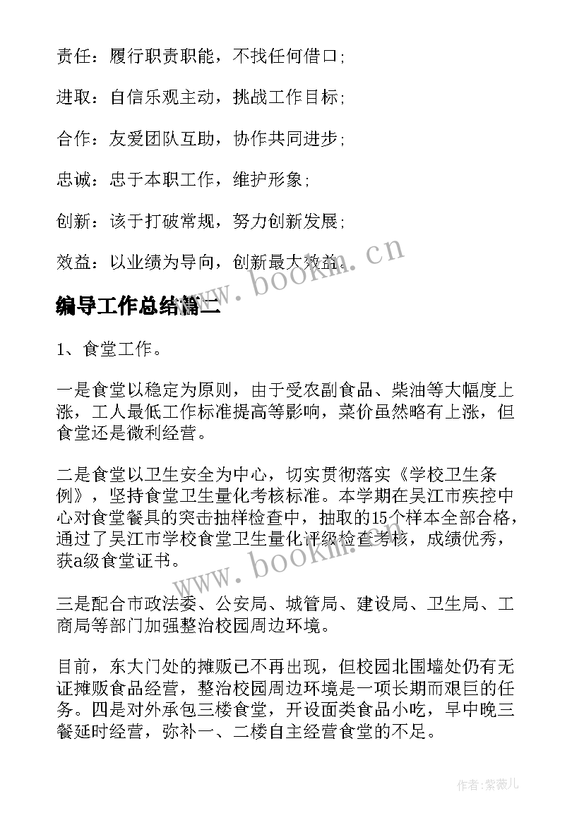 最新编导工作总结(优秀6篇)