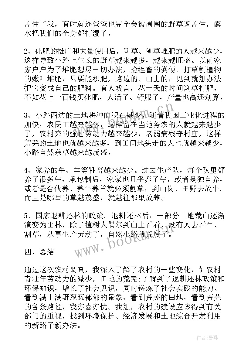 小学生实践调查报告 社会实践调查报告小学生(汇总5篇)