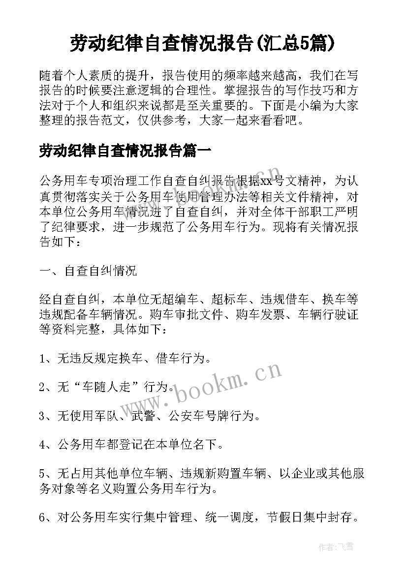 劳动纪律自查情况报告(汇总5篇)