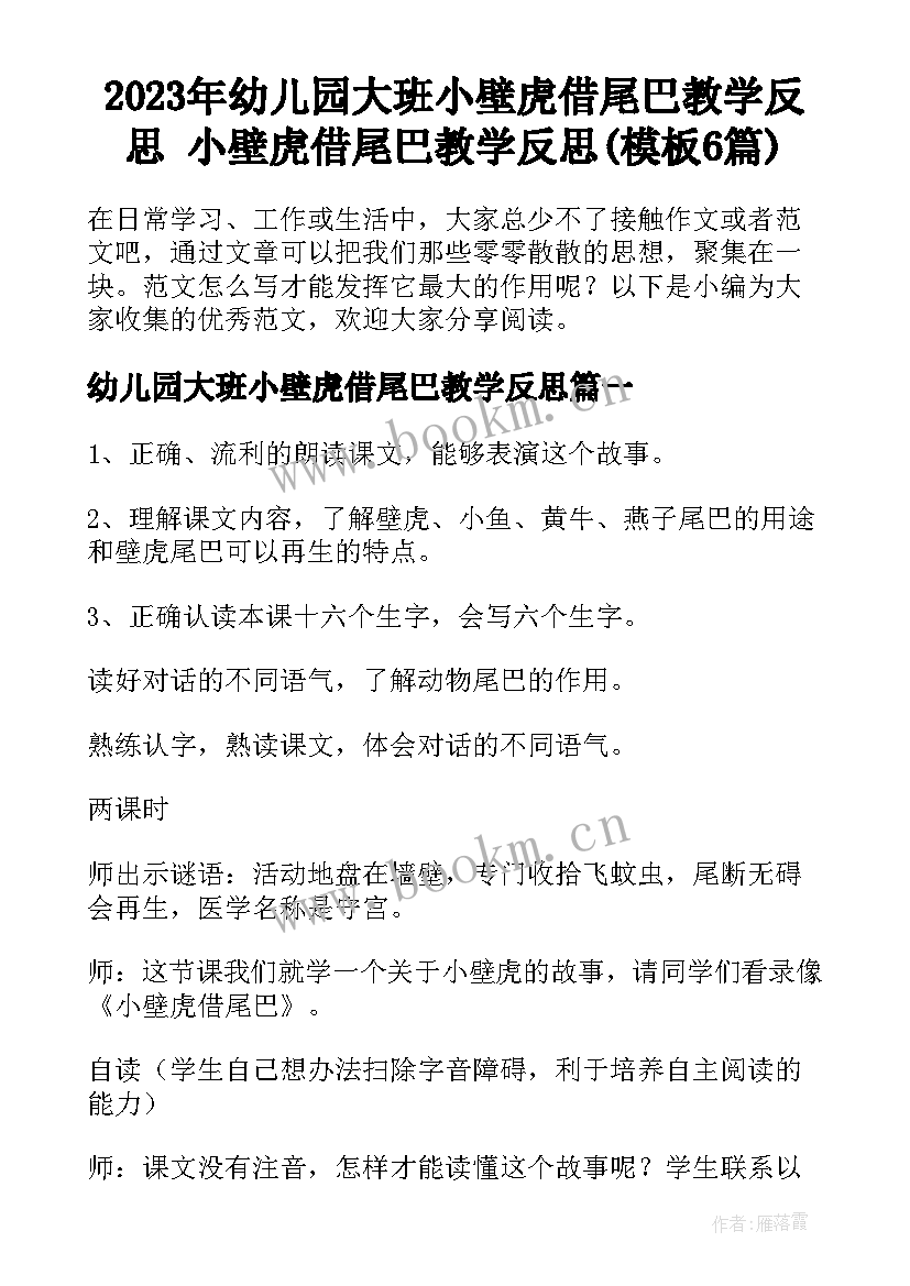 2023年幼儿园大班小壁虎借尾巴教学反思 小壁虎借尾巴教学反思(模板6篇)