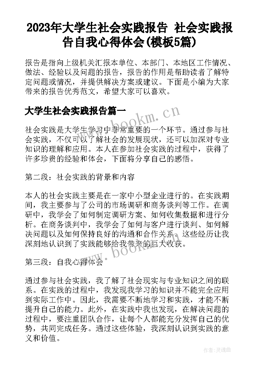 2023年大学生社会实践报告 社会实践报告自我心得体会(模板5篇)